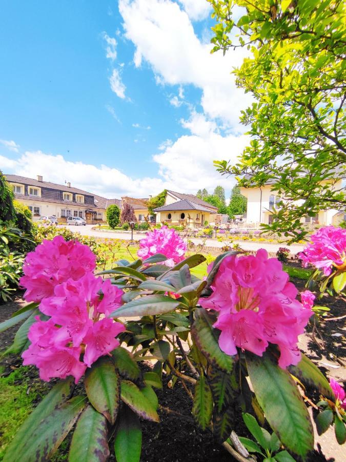Penzion Lucs Heľpa Dış mekan fotoğraf